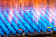 Steel Green gas fired boilers